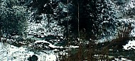 mountains and stream just outside of Almaty