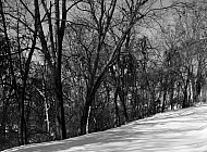 Winter In Illinois