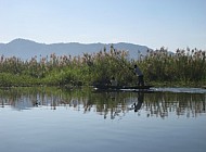 fishermen at work (Liwonde National Park)