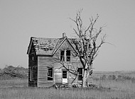 Abandoned Home