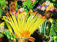 Rio Carnaval