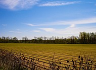 farmland