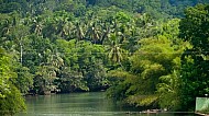 Loboc Philippines