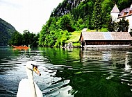 Hallstatt Goose