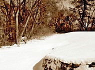 Winter In Illinois