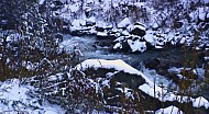 Kazakh Mountain Stream