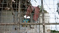 San Pedro Apostol Parish Church Loboc Philippines