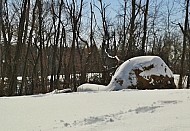 Winter In Illinois