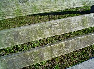 wooden fence