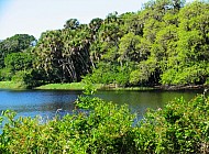 Florida Everglades