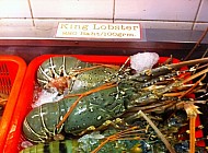 Fresh Lobster