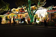 Candy Cane Lane