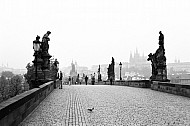 Charles Bridge